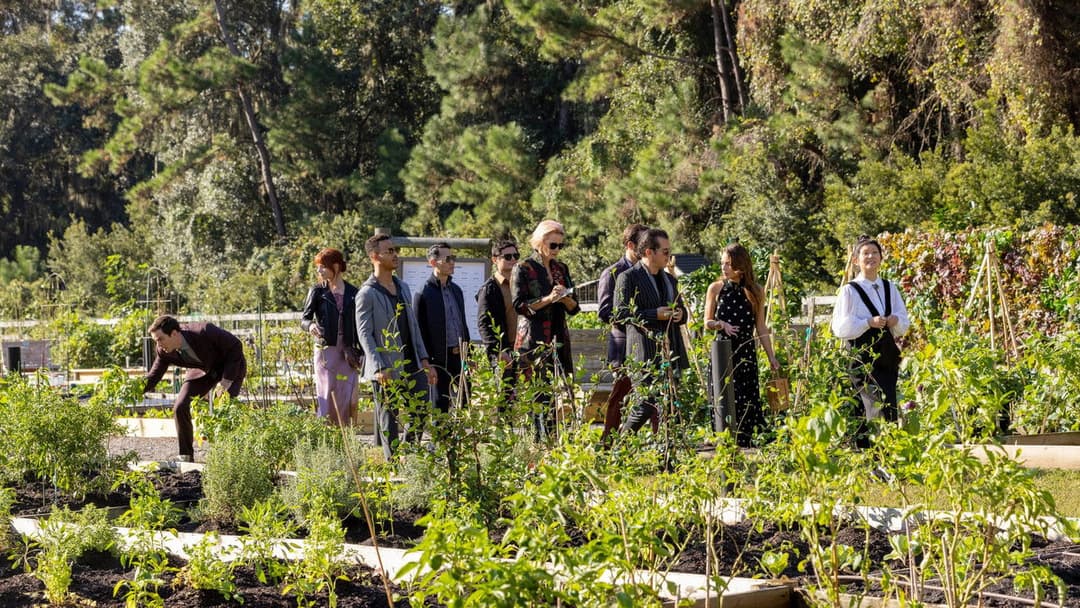 The Menu backdrop 16