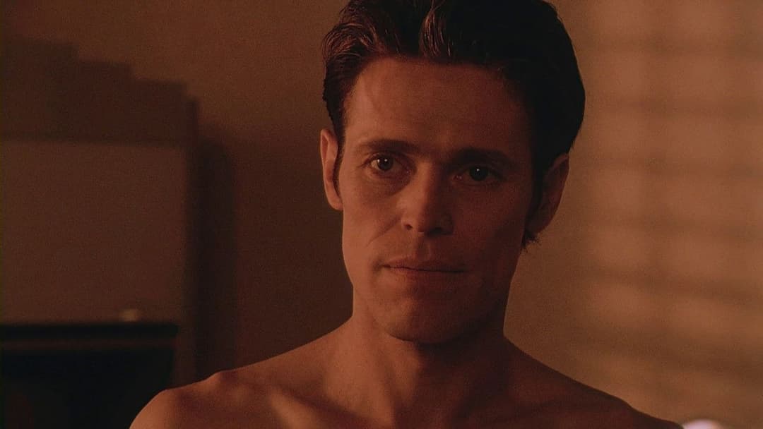 Light Sleeper backdrop 5