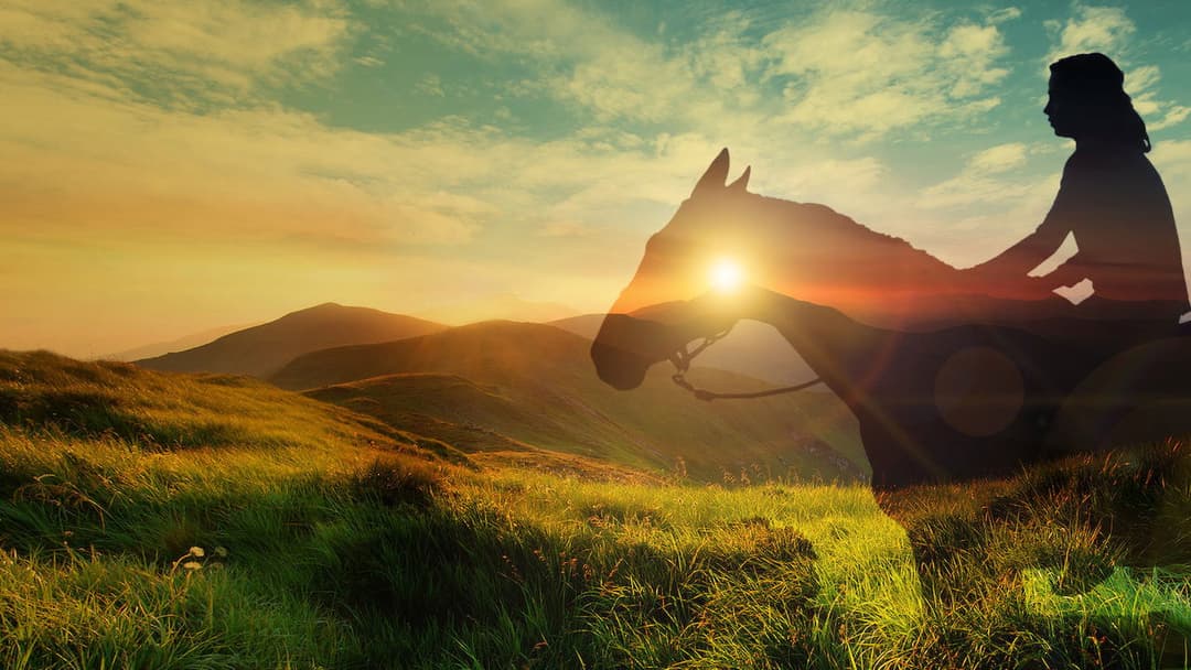 Rock My Heart backdrop 4