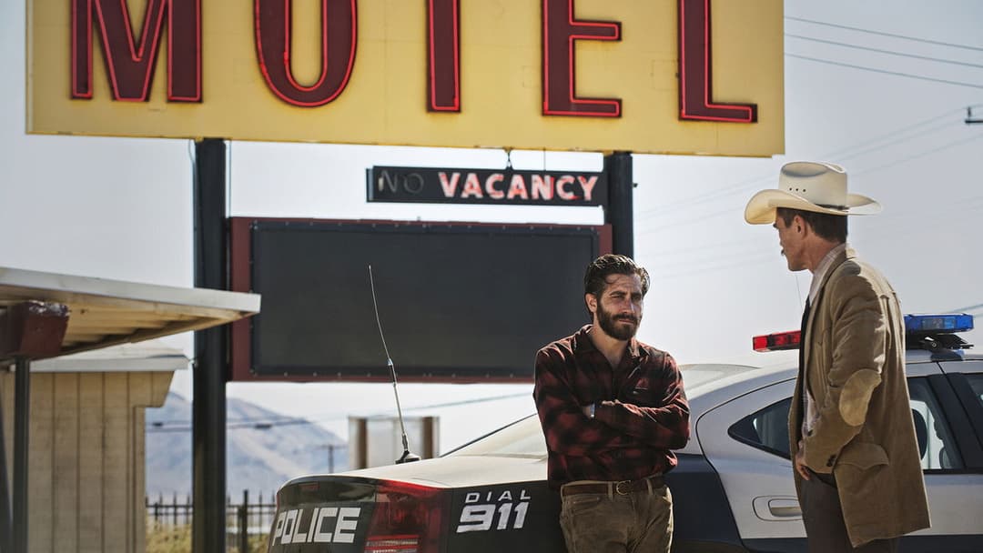 Nocturnal Animals backdrop 10