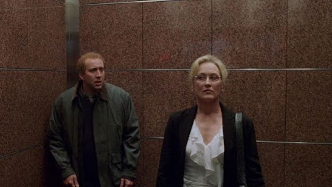 Adaptation. backdrop 19