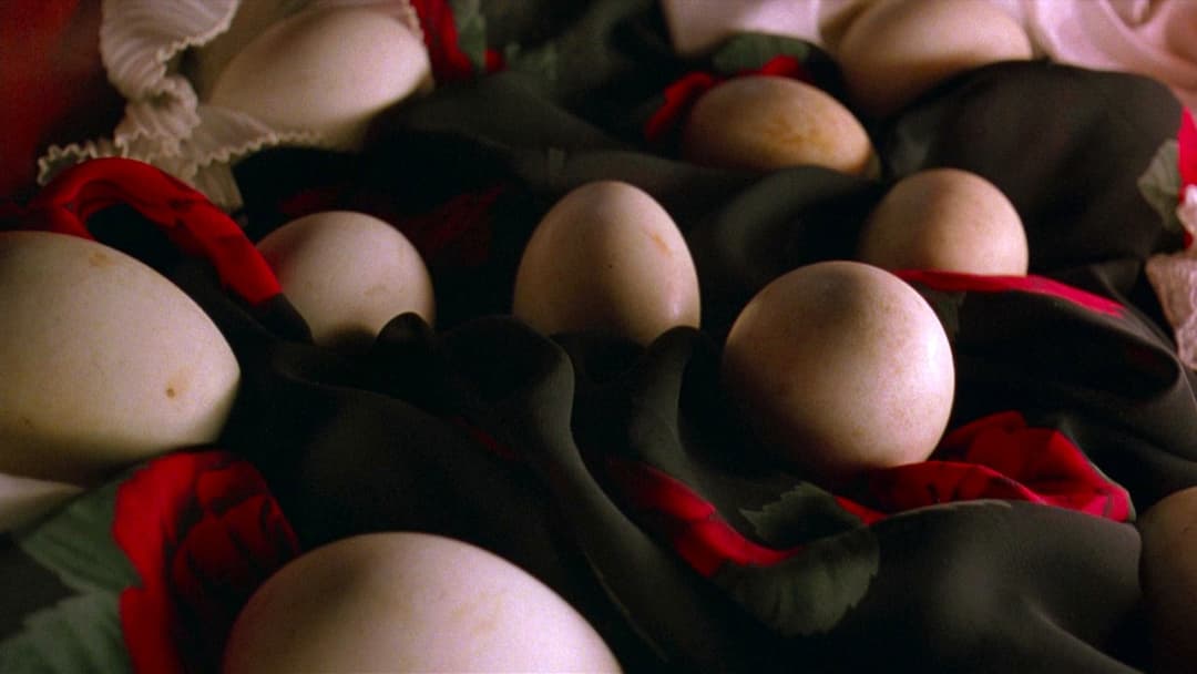 Amy und die Wildgänse backdrop 4