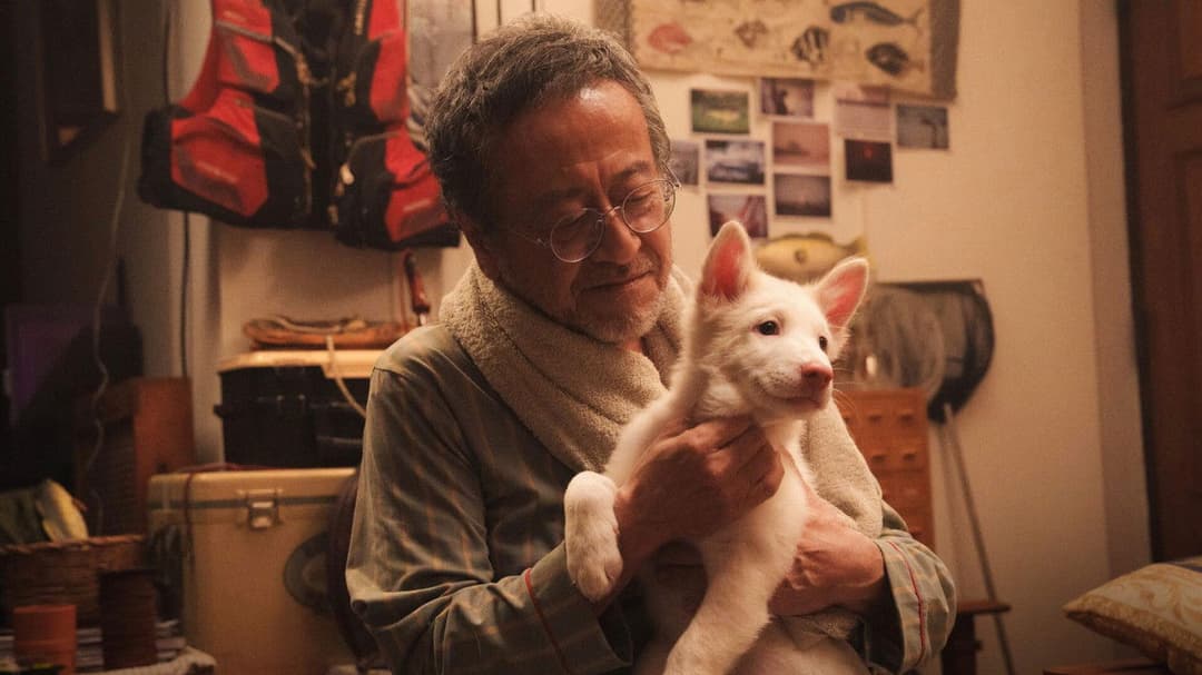 โกฮัง..หัวใจโกโฮม backdrop 1