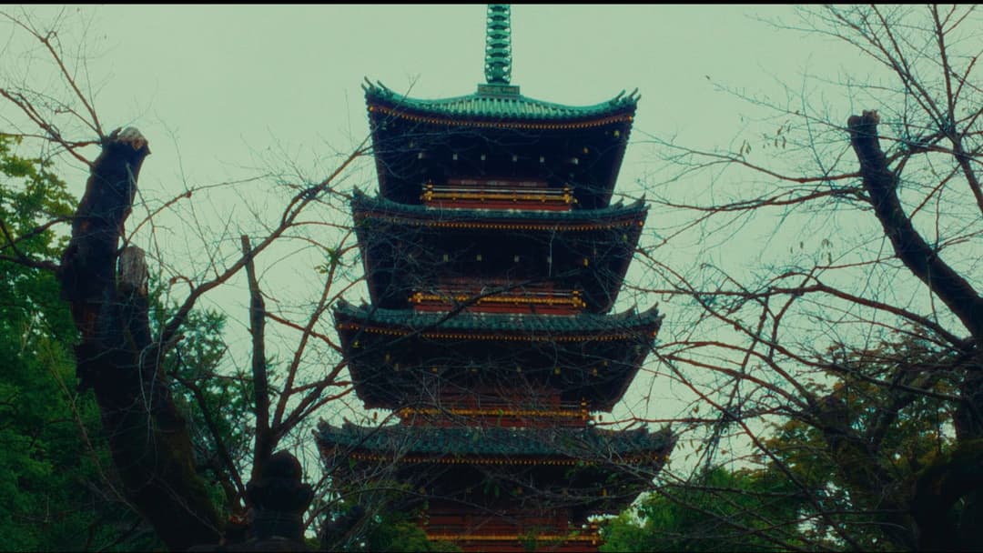 Distant Memories backdrop 8