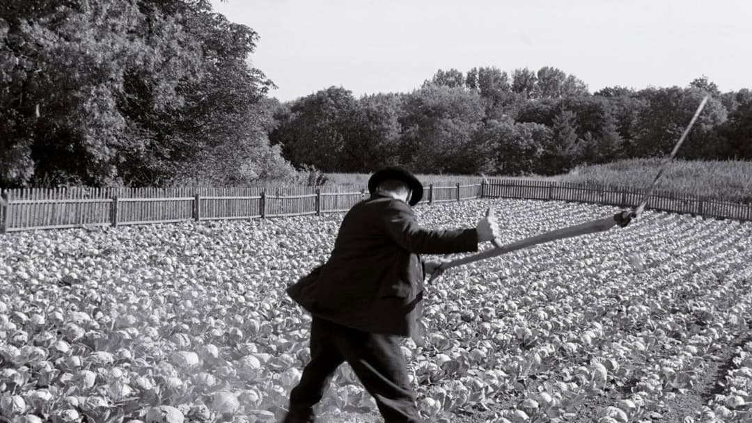 Das weiße Band - Eine deutsche Kindergeschichte backdrop 5