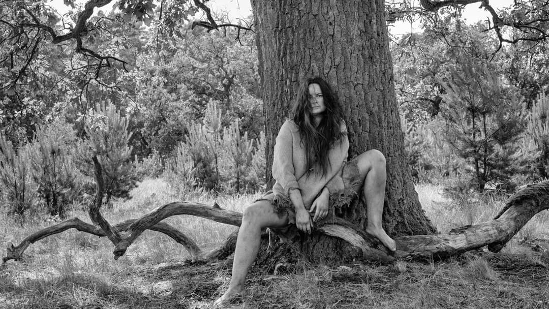 The Painted Bird backdrop 11