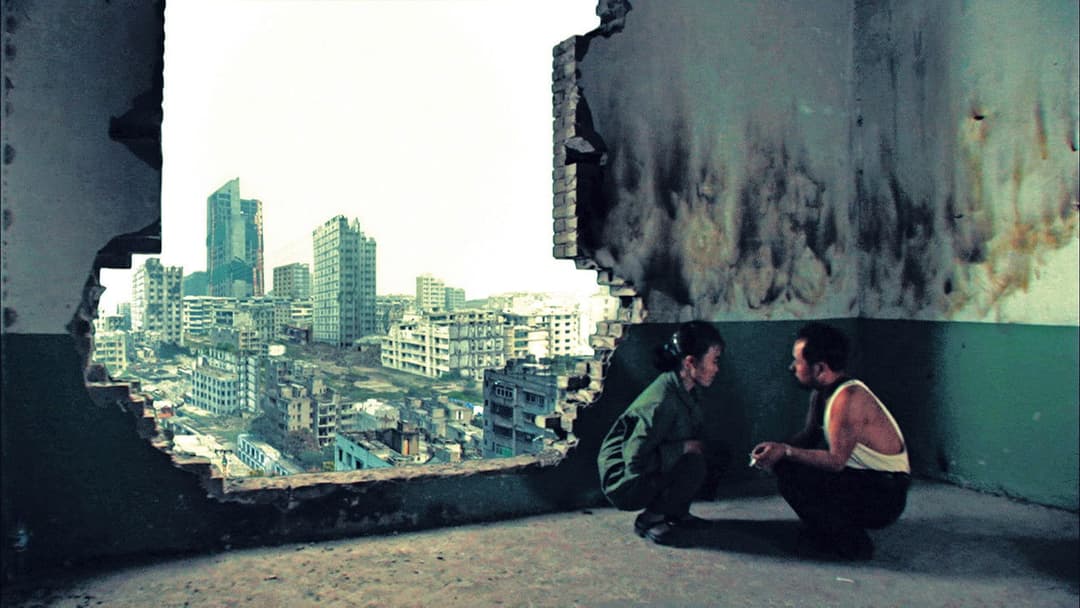 Still Life backdrop 15