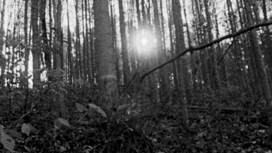 Відьма з Блер: Курсова з того світу backdrop 11