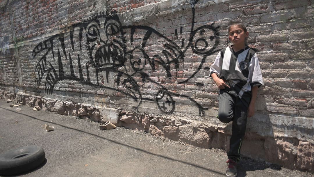 Tigers Are Not Afraid backdrop 17