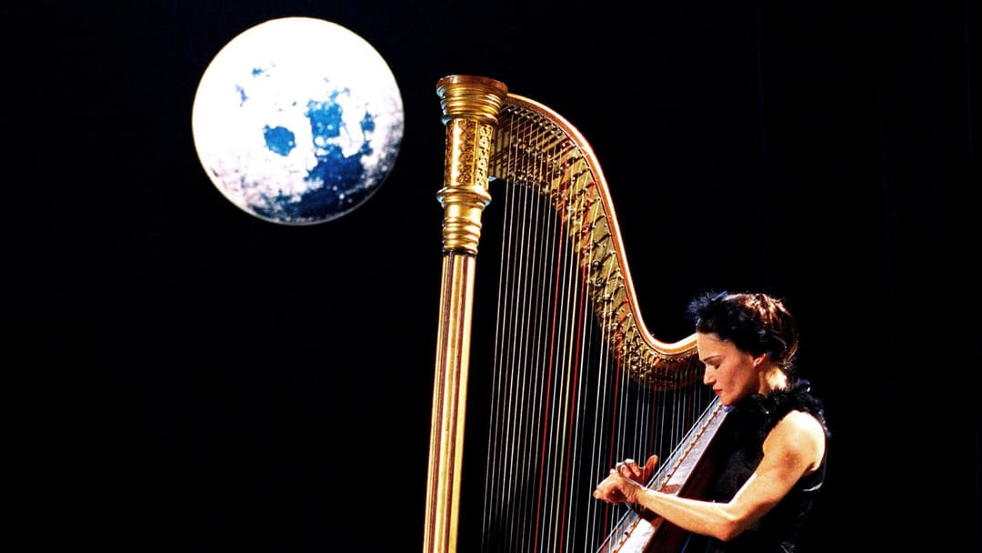 Sleepless backdrop 17