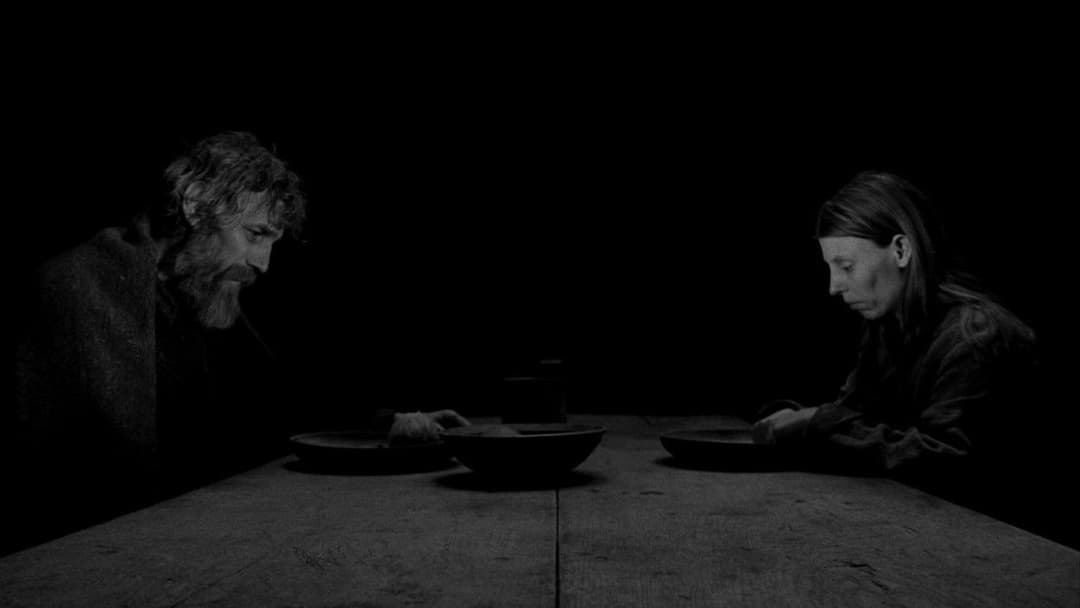 The Turin Horse backdrop 9