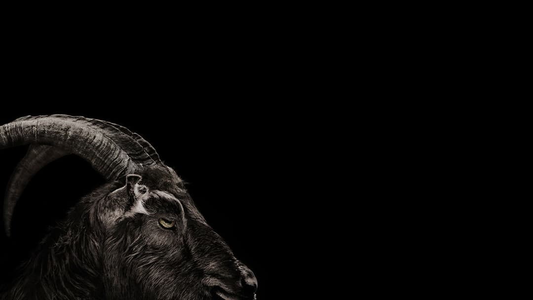 The Witch backdrop 18