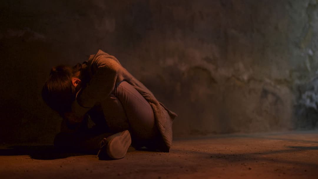 Tigers Are Not Afraid backdrop 8