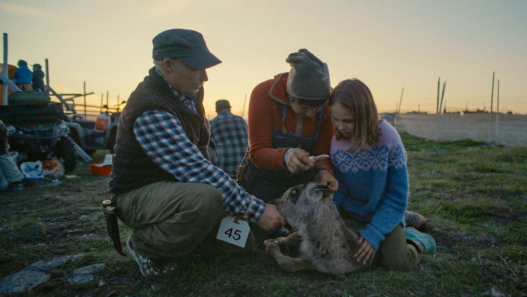 Let Our Mountains Live backdrop 1 1