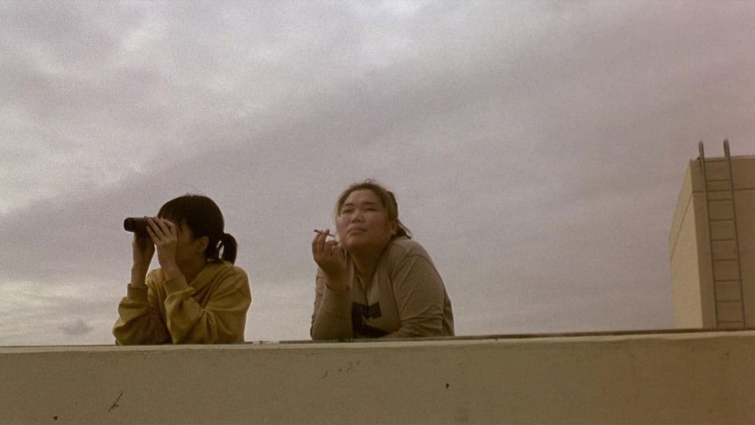 Barking Dogs Never Bite backdrop 18