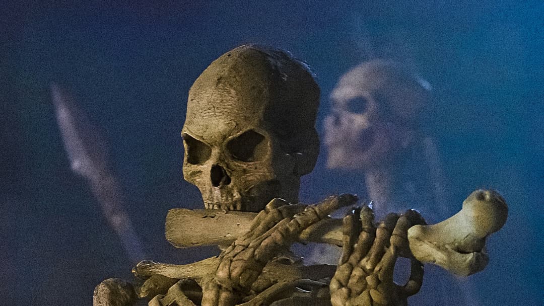 Armee der Finsternis backdrop 8