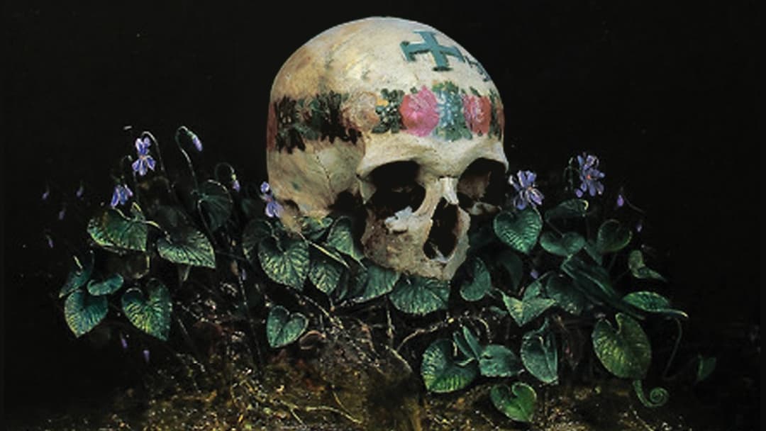 Hagazussa backdrop 3