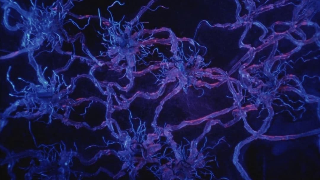 Tetsuo II: Body Hammer backdrop 8