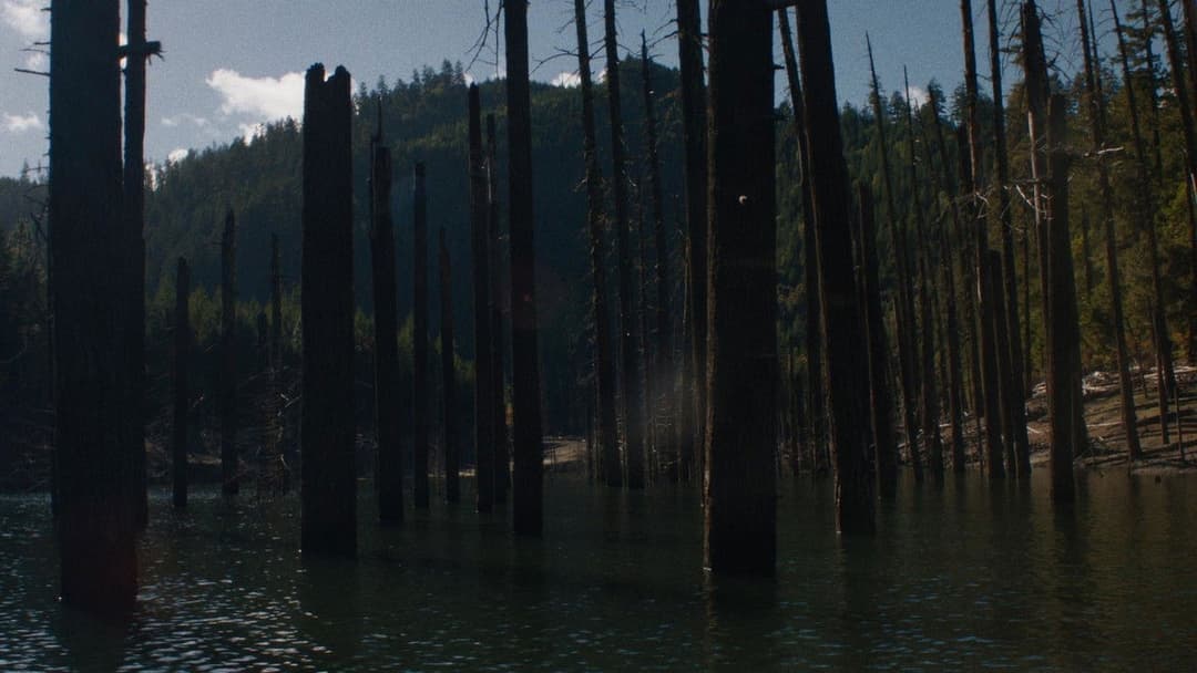 Night Moves backdrop 15