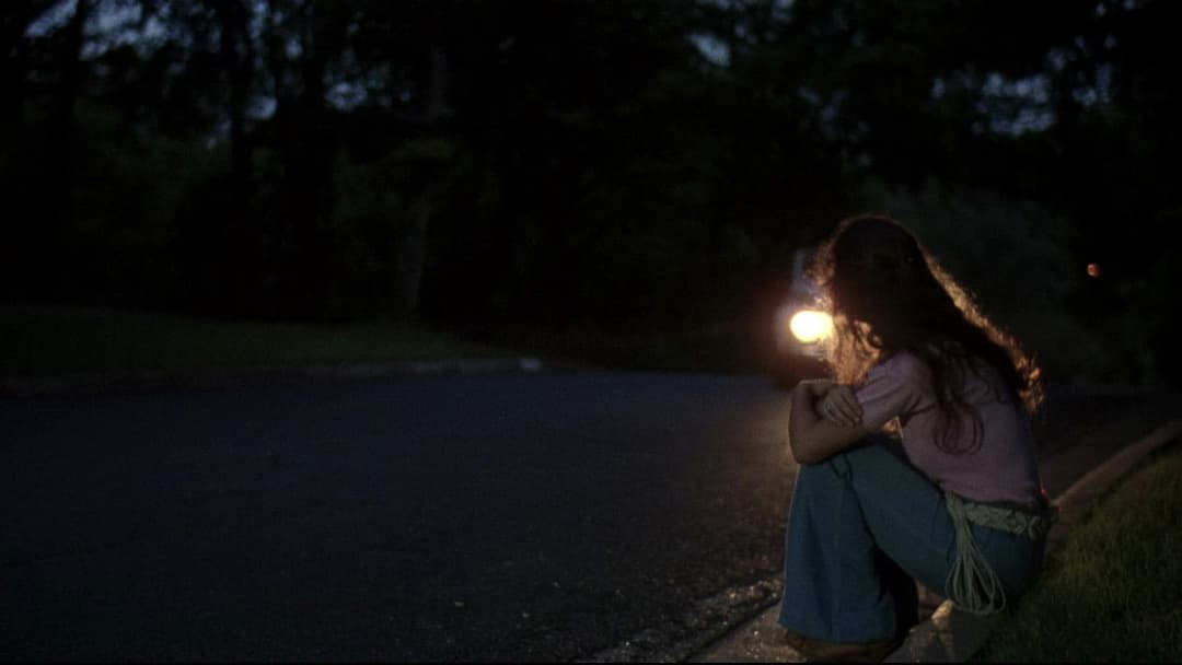 Dazed and Confused backdrop 12