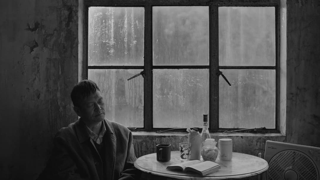 伤寒杂病论 backdrop 4