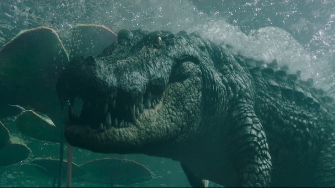 Хижаки backdrop 9