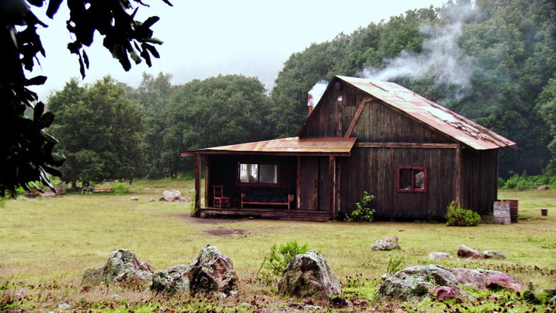 Дикий регіон backdrop 11