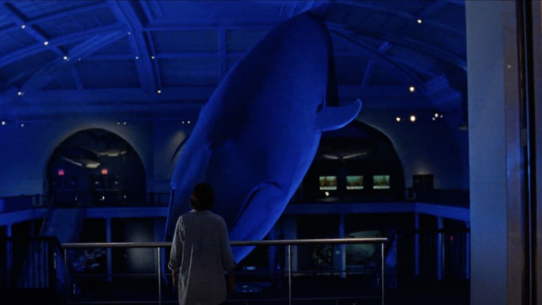 The Squid and the Whale backdrop 10