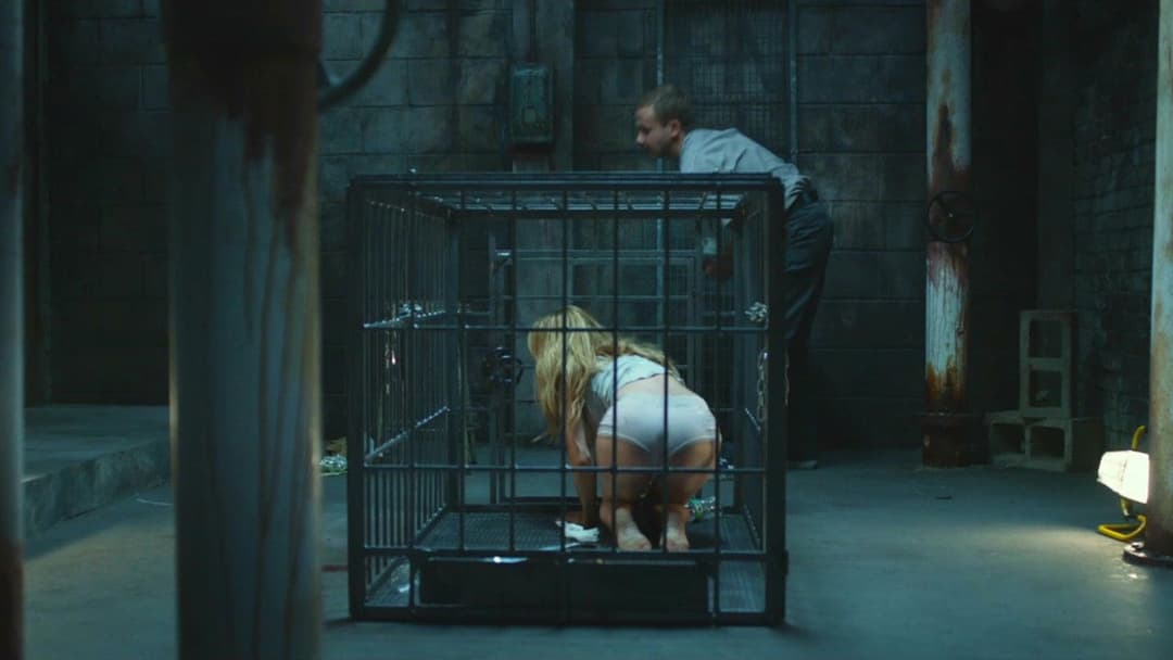 Домашня тварина backdrop 7