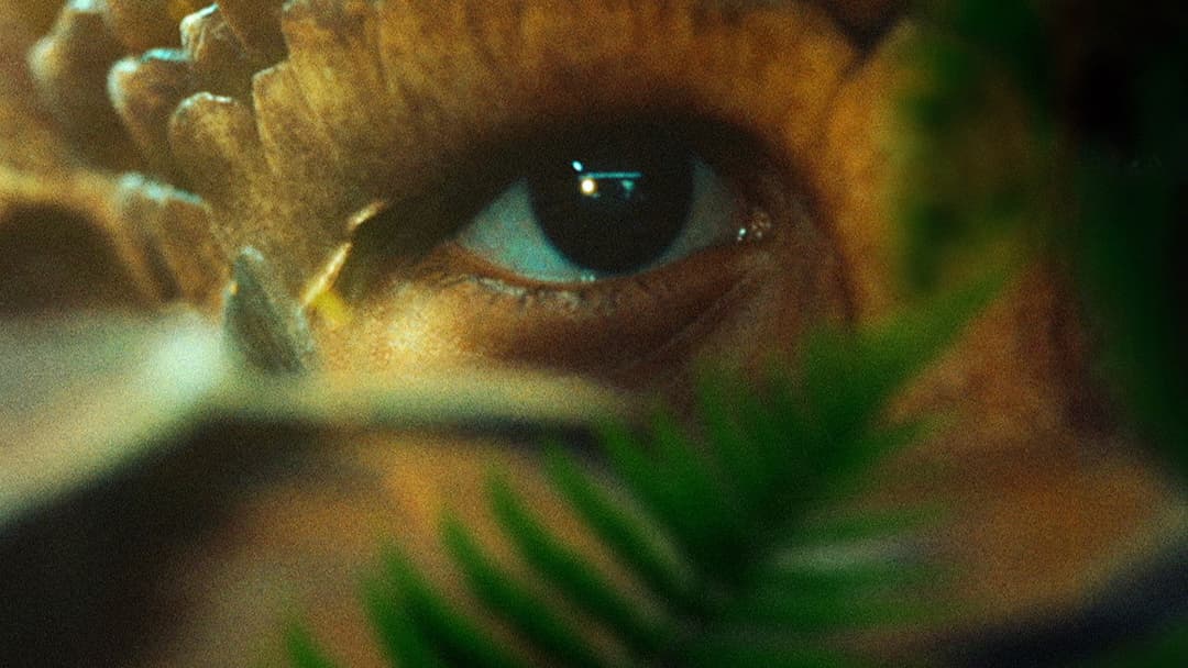 The Animal Kingdom backdrop 9