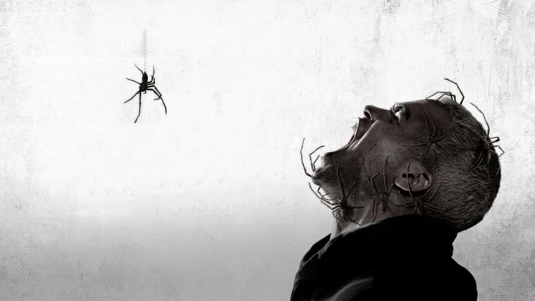 Павуче лігво backdrop 4