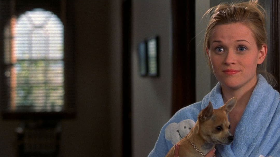 Білявка в законі backdrop 14