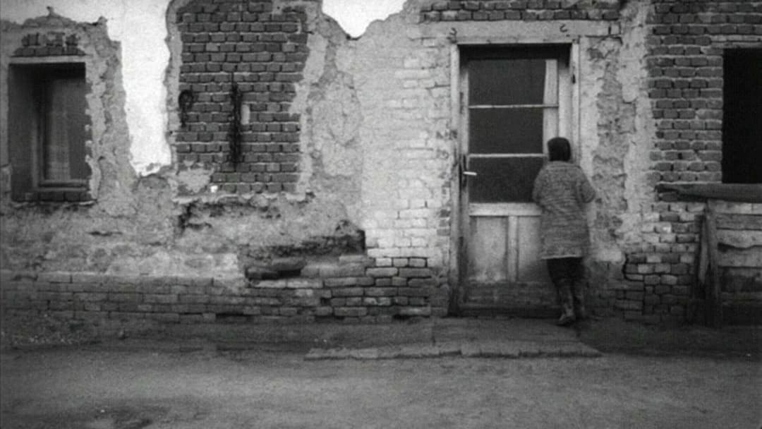 Satantango backdrop 19