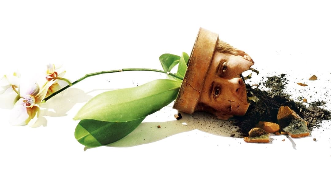 Adaptation. backdrop 9