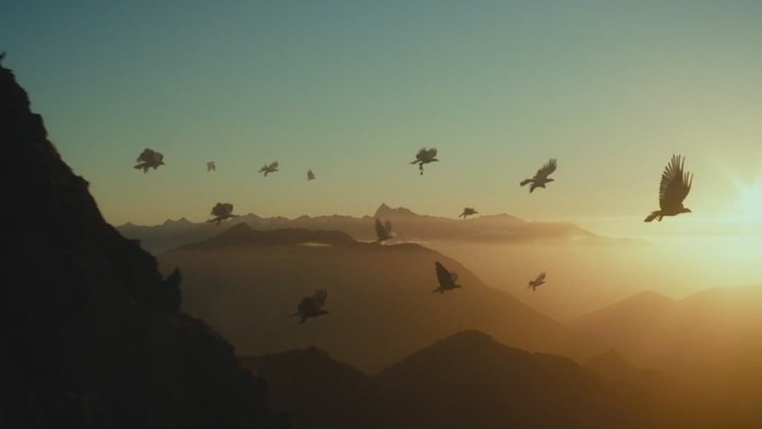 The Hobbit: An Unexpected Journey backdrop 18