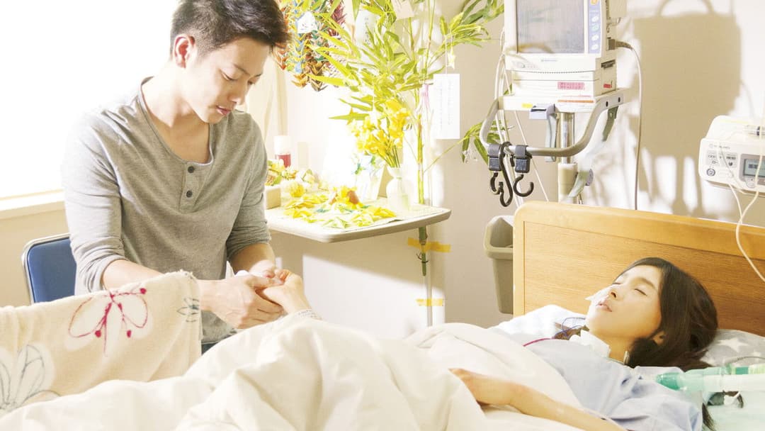 The 8-Year Engagement backdrop 4