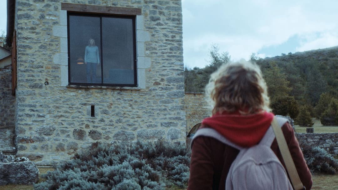 Only the Animals backdrop 6