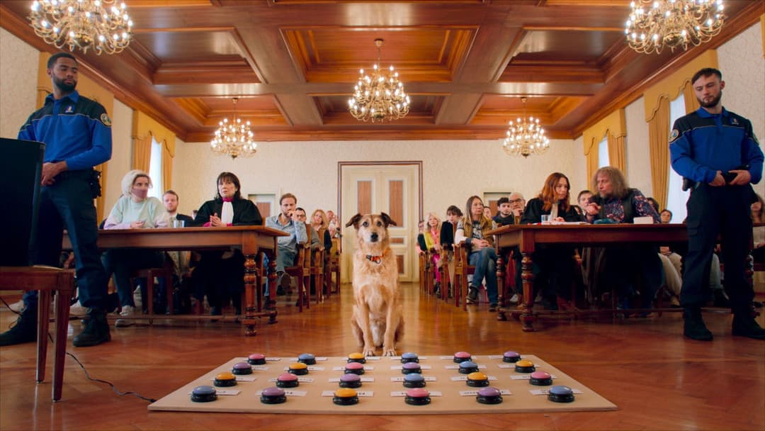 Dog on Trial backdrop 9