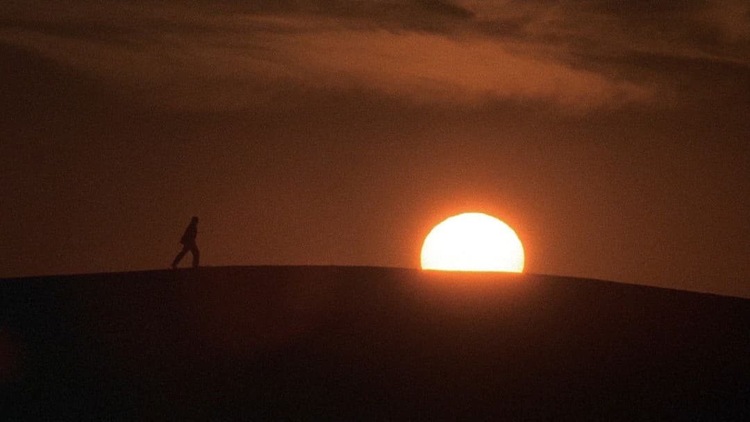 Der englische Patient backdrop 14