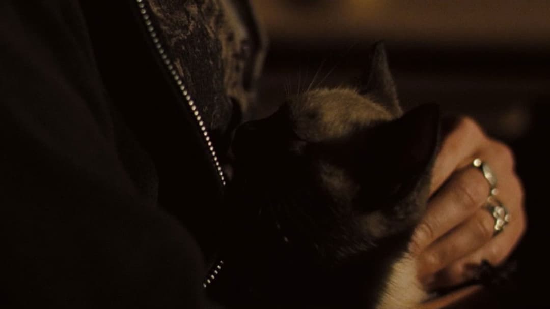 Чищення до блиску backdrop 13