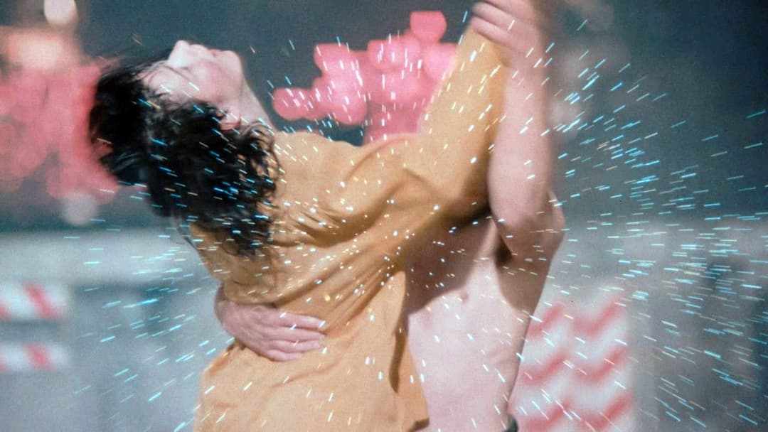 Les Amants du Pont-Neuf backdrop 10