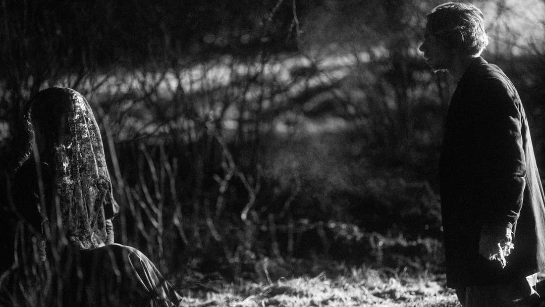 November backdrop 18