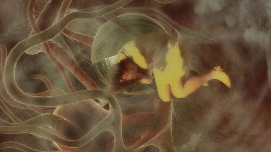 ガメラ3 邪神＜イリス＞覚醒 backdrop 15