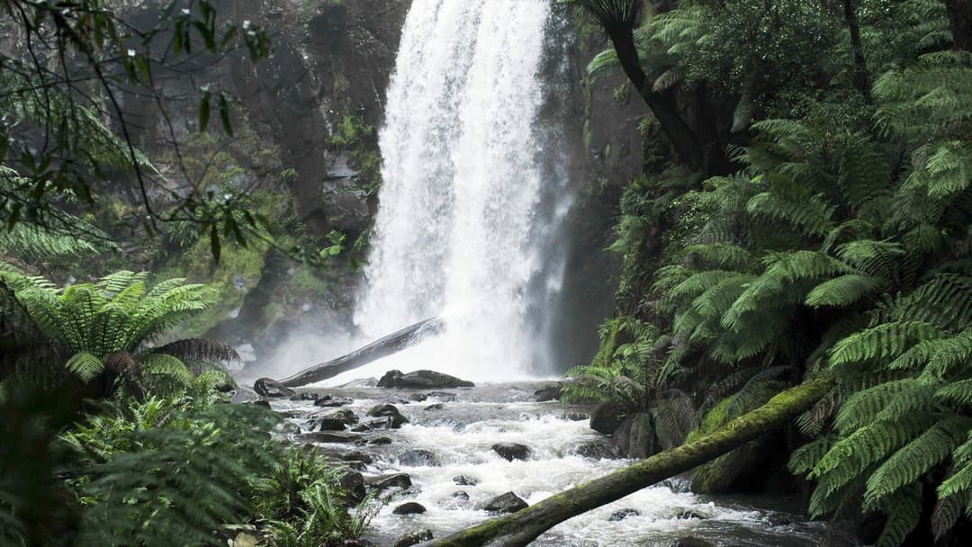 Force of Nature: The Dry 2 backdrop 11