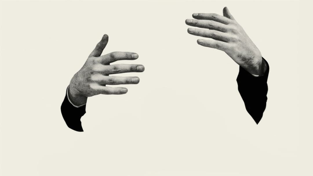 The Lobster backdrop 11