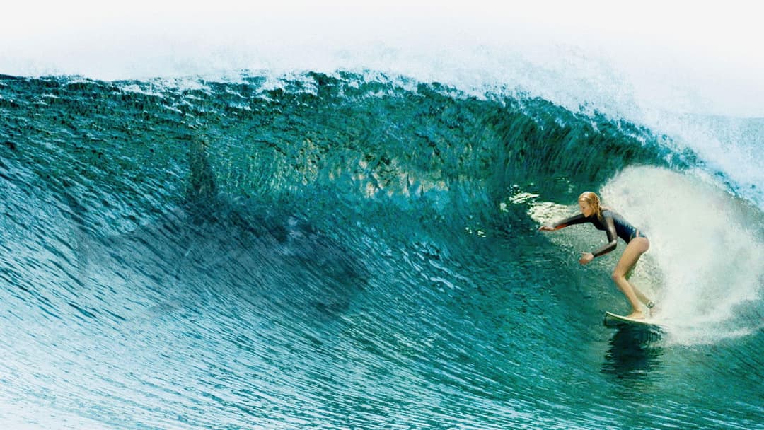 The Shallows backdrop 6