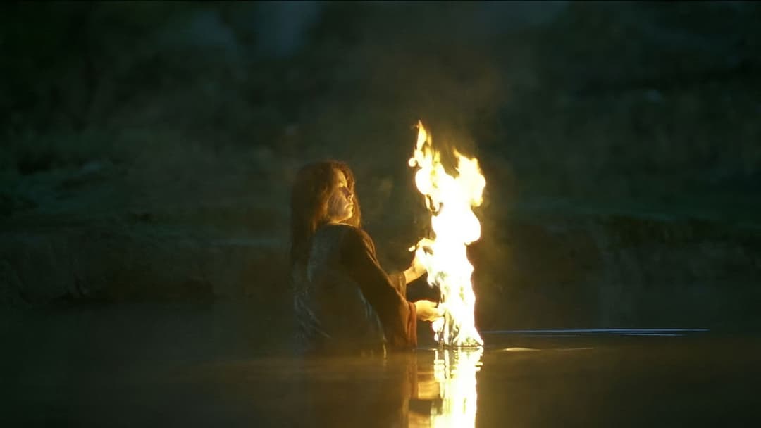 Turtles Can Fly backdrop 6