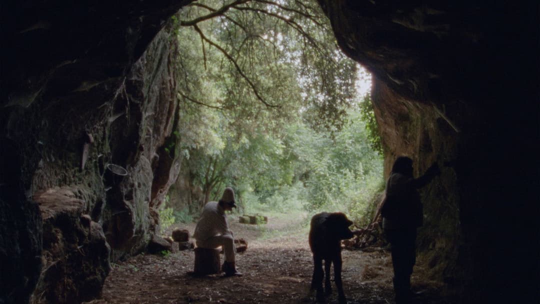 Lost and Beautiful backdrop 3