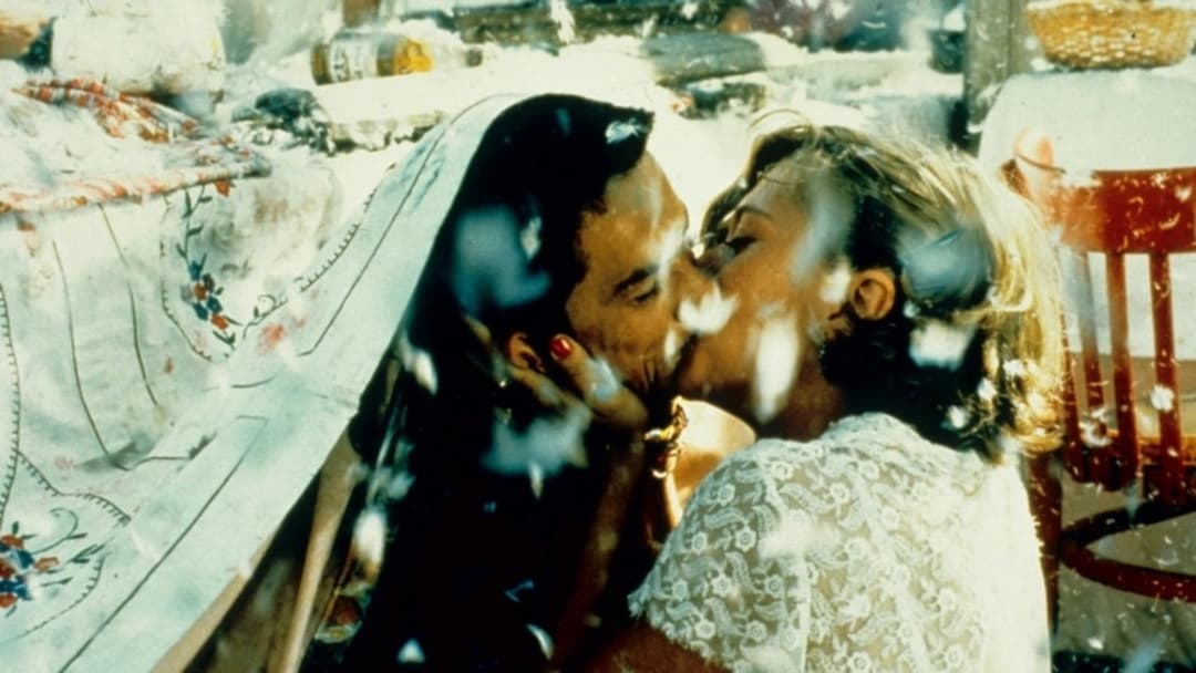 Black Cat, White Cat backdrop 2