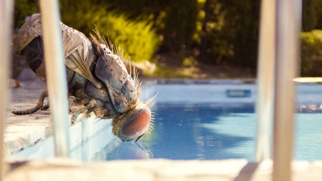 Mandibles backdrop 3